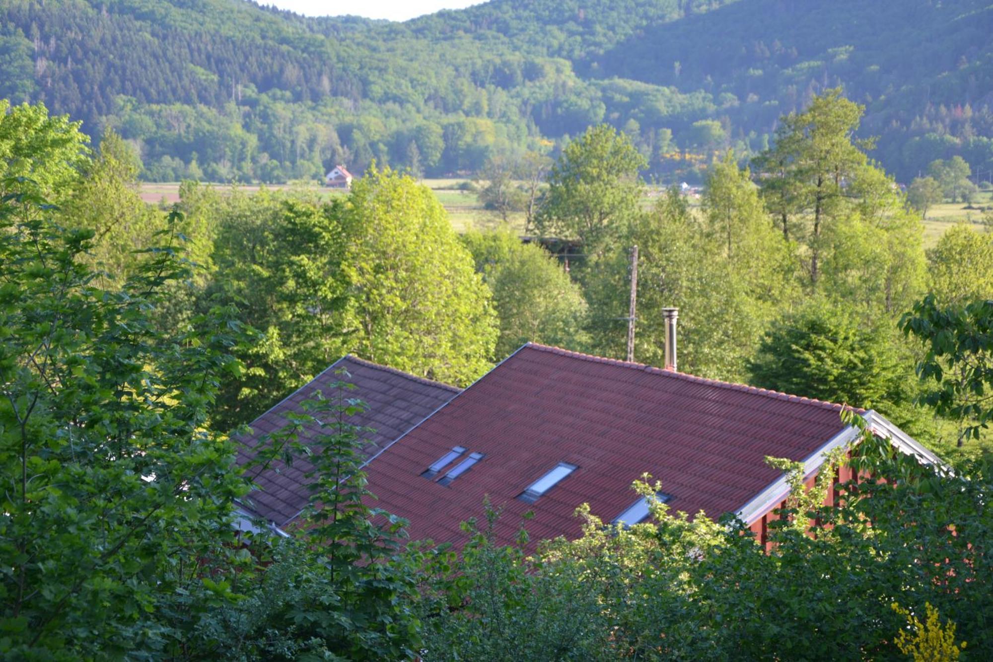 Chalet Des Aigrettes, Les 1000 Etangs La Voivre  Exterior foto