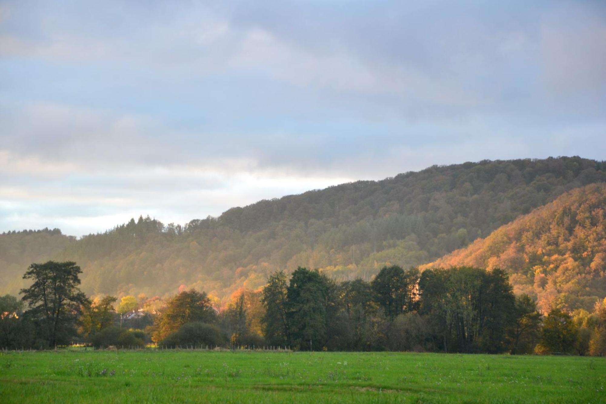 Chalet Des Aigrettes, Les 1000 Etangs La Voivre  Exterior foto